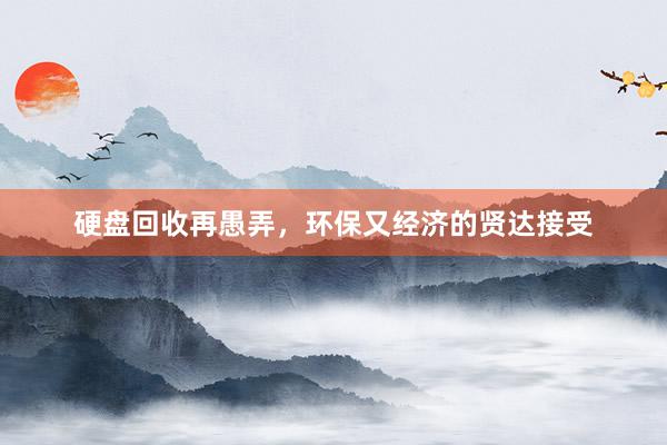 硬盘回收再愚弄，环保又经济的贤达接受